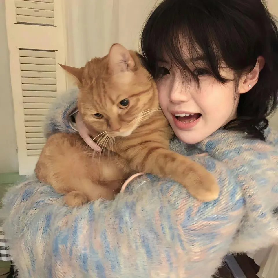 逃出安乐窝