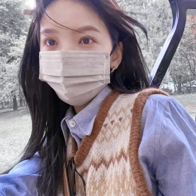 灰鸽子之歌